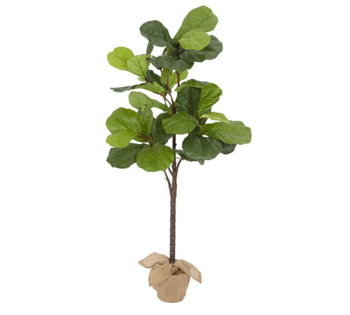 Pottery Barn Faux Potted Fig Tree