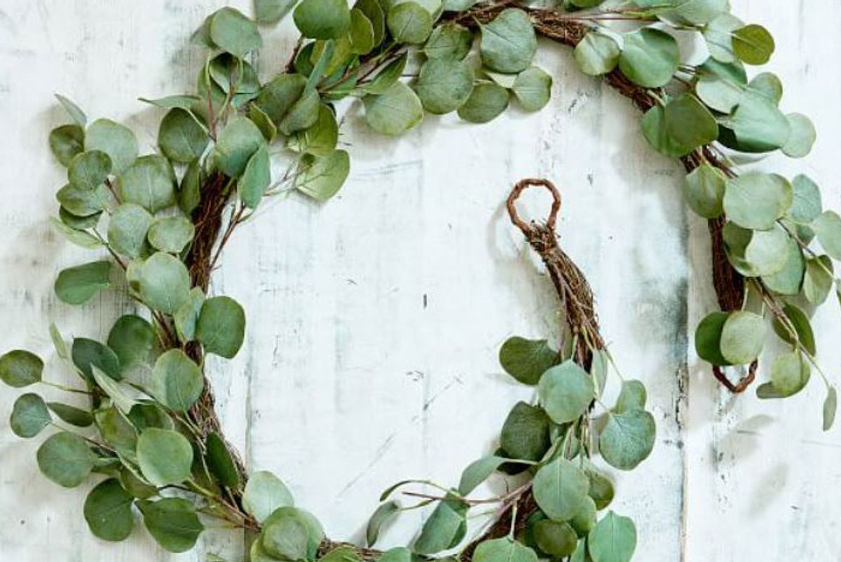 pottery barn silver dollar eucalyptus garland