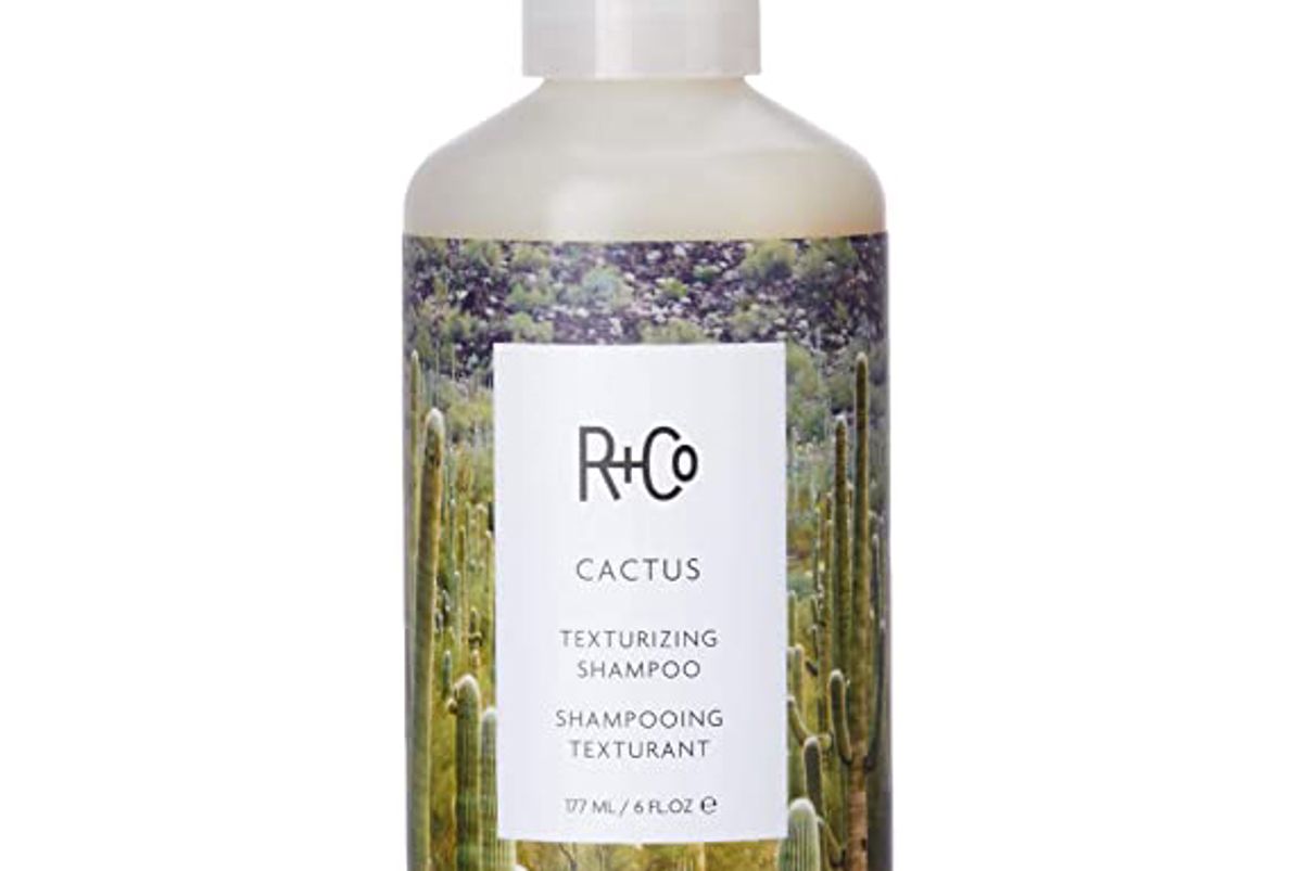 r and co cactus texturizing shampoo