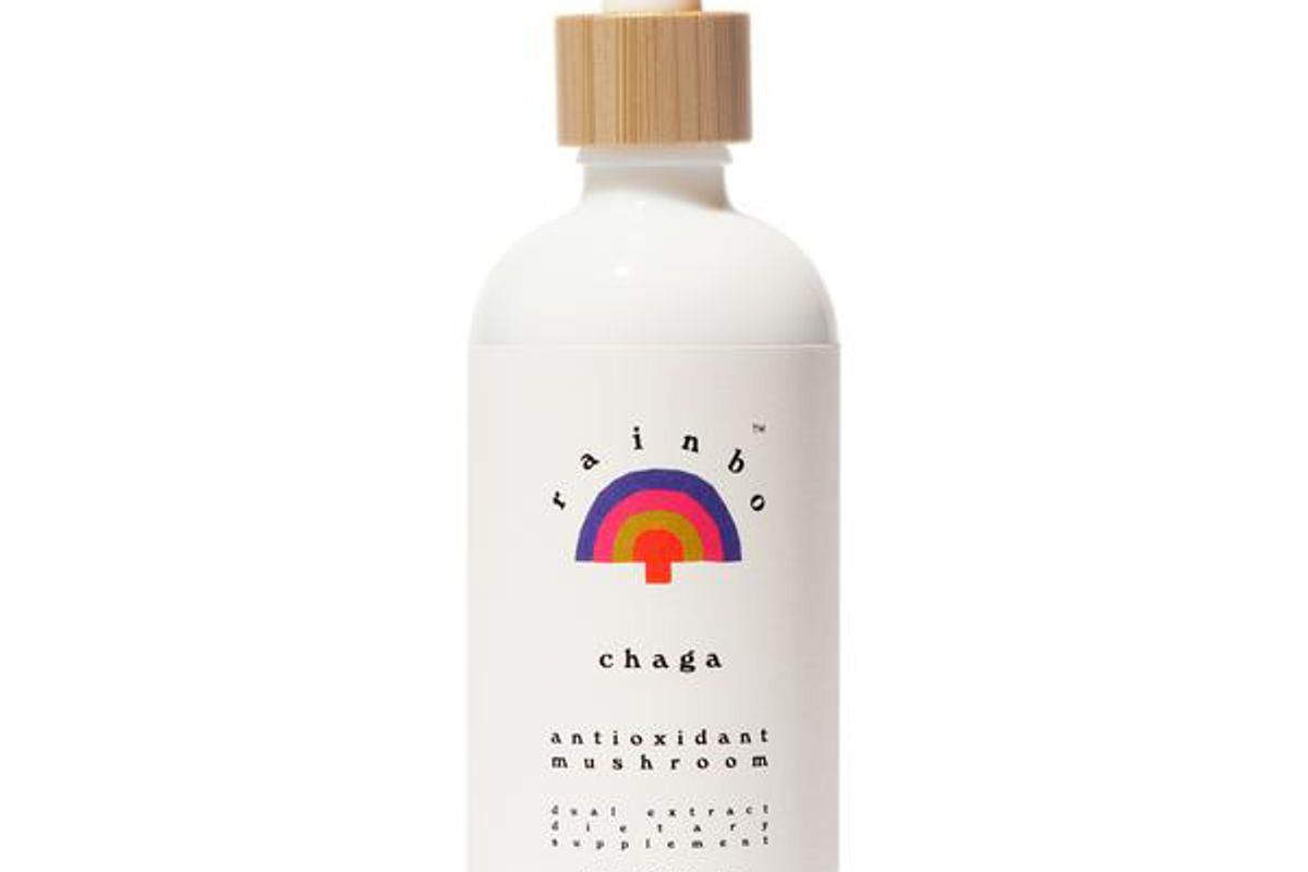 rainbo chaga antioxidant super mushroom