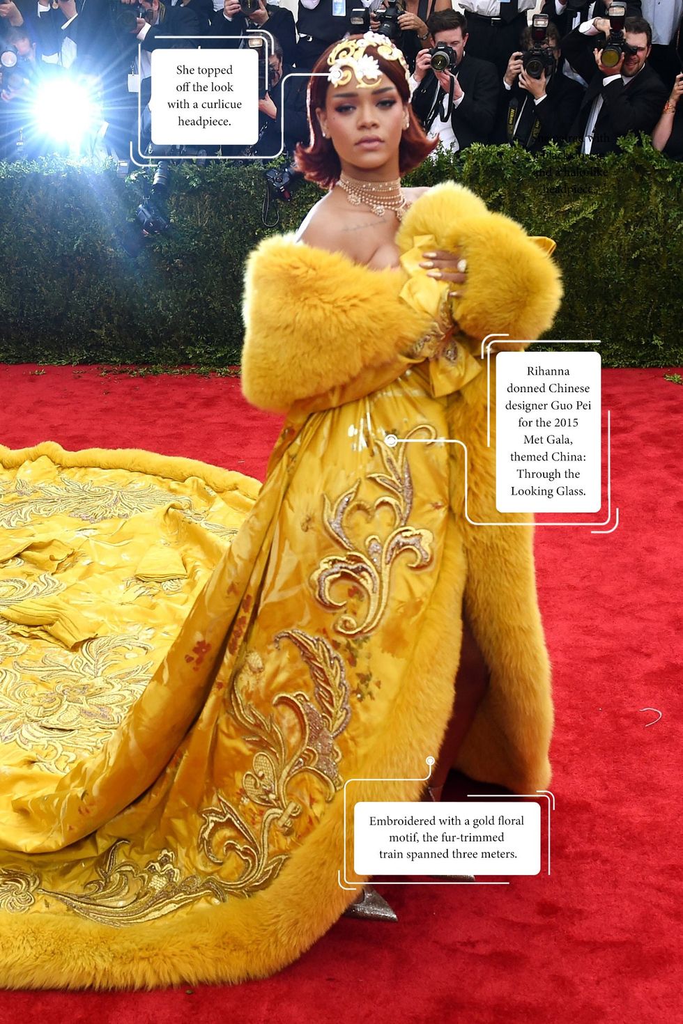 Rihanna in 2015 Met Gala