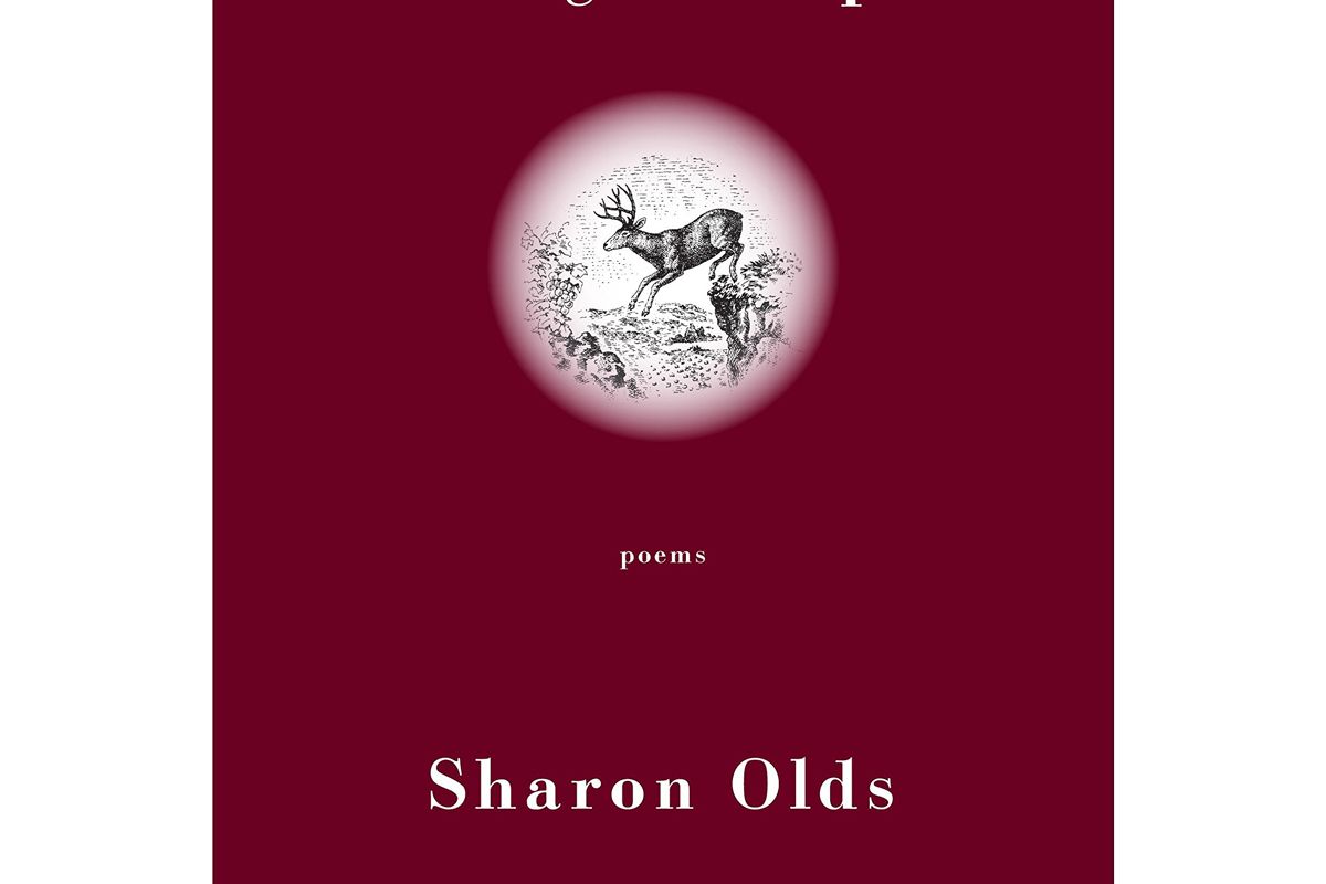 sharon olds stags leap poems