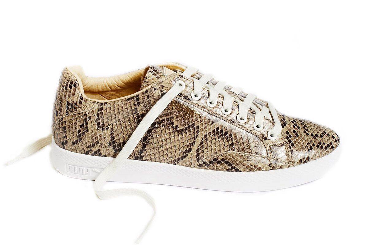 Match Animal Court Sneaker