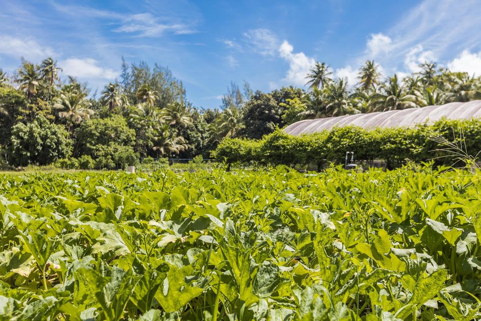 st. regis bahia beach resort