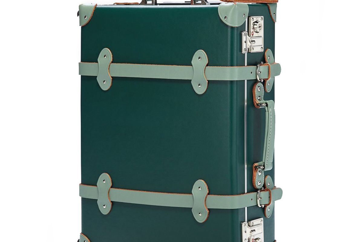 steamline luggage the artiste evergreen carryon