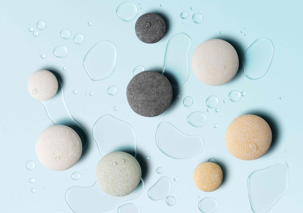 sustainable brands