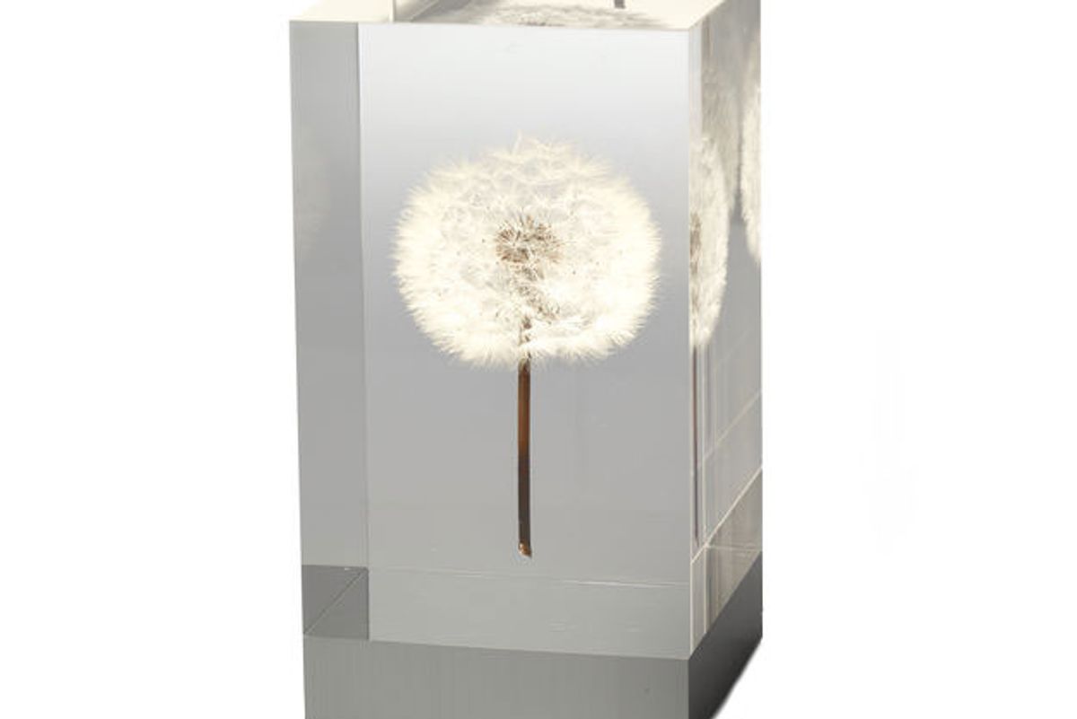 takao inoue oled dandelion objet d'art