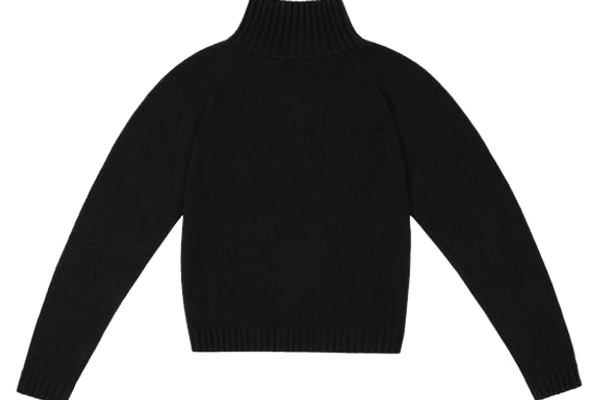 the elder statesman highland cropped turtleneck