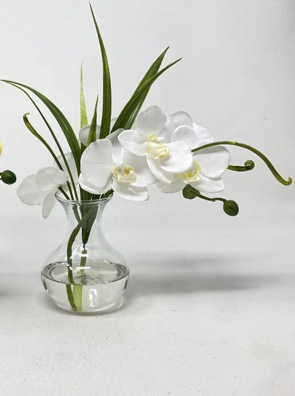 The Kemble Shop Orchid Bloom