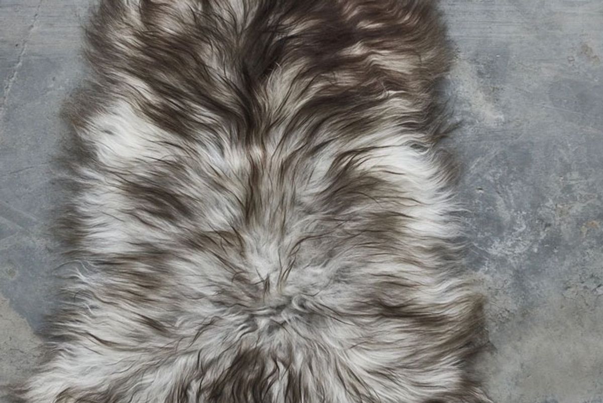 the organic sheep sheepskin longhair rug