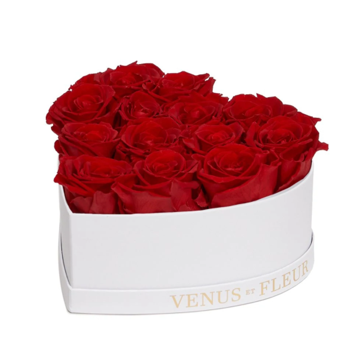 Venus et Fluer roses