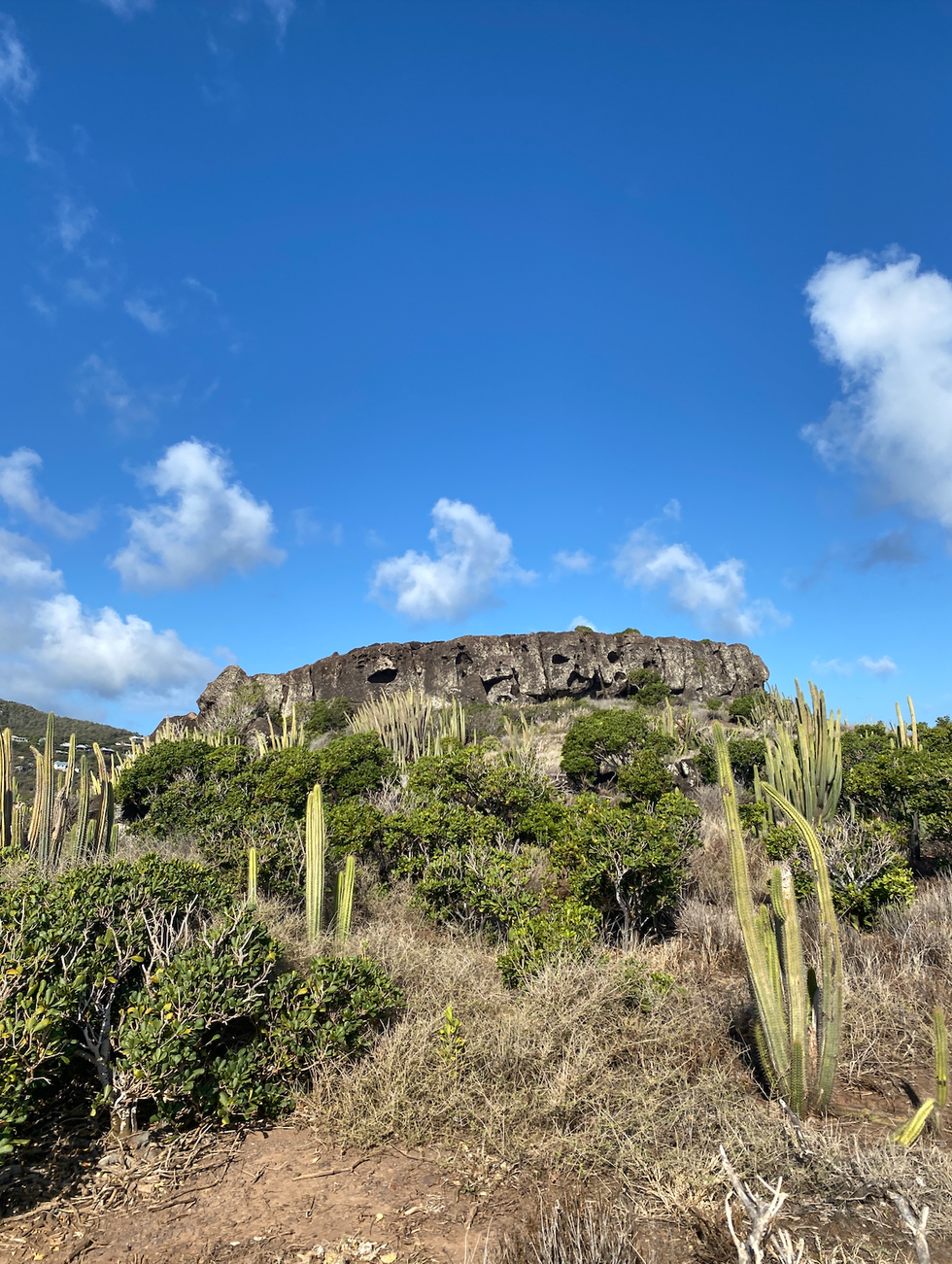 view of the landscape during the hike