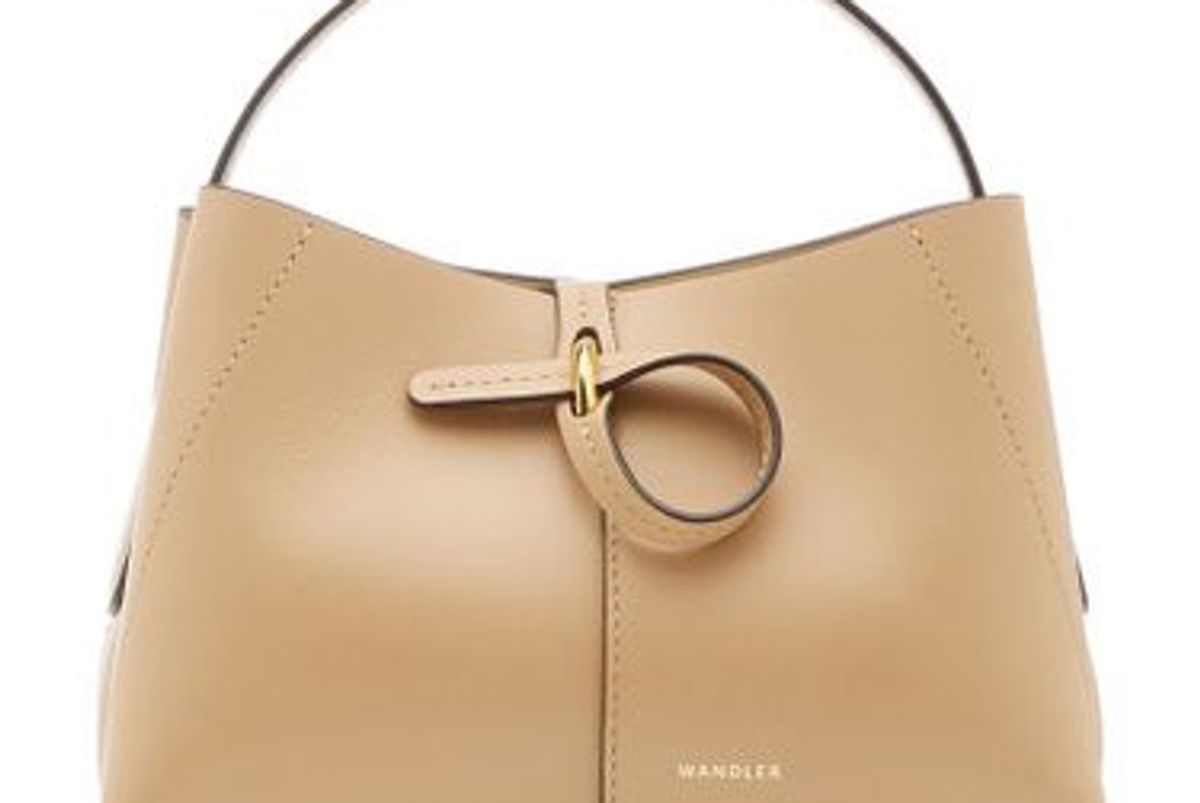 wandler ava leather micro bag