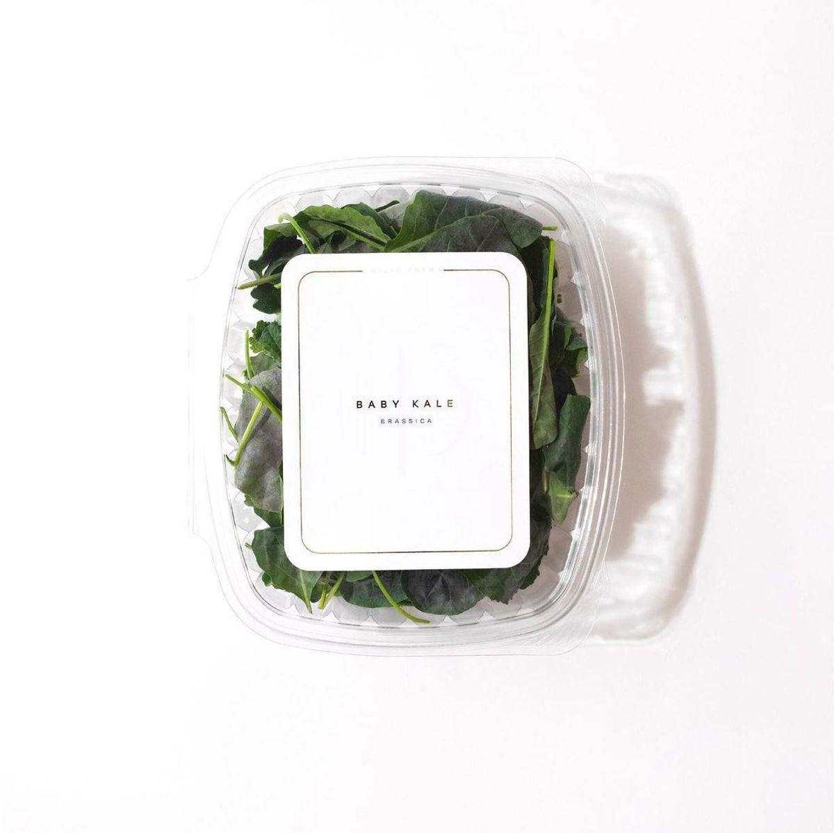 willo farm membership