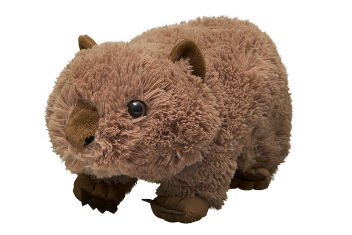 world wildlife adopt a wombat