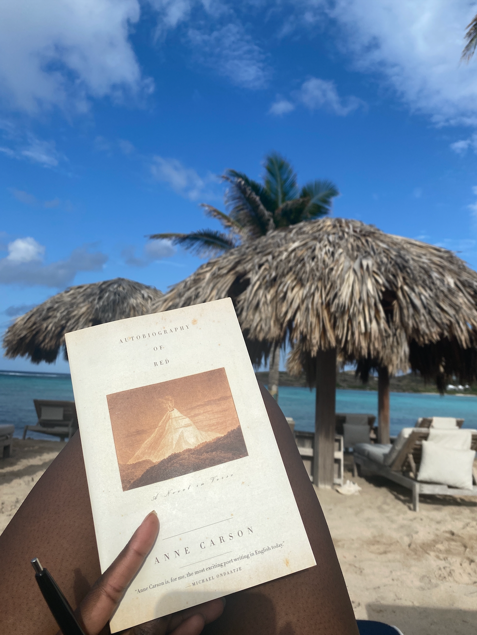 writer on the beach reading a book