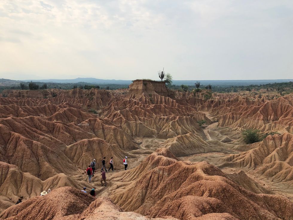 wwake founder sources gold in colombia