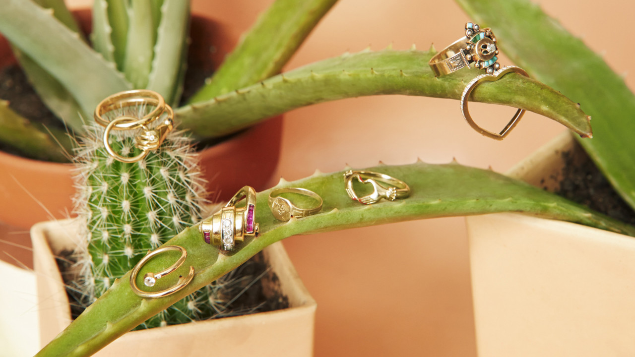 fine jewelry brand shiffon co.