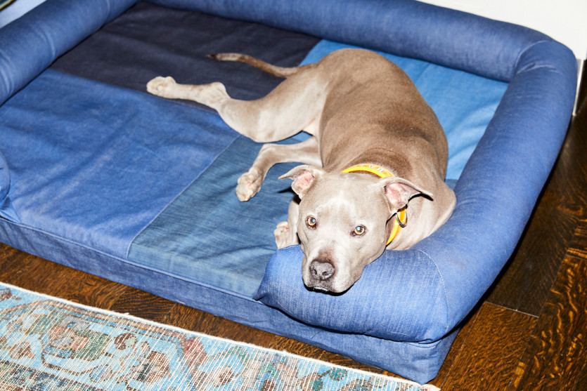 best denim moments in coveteur history